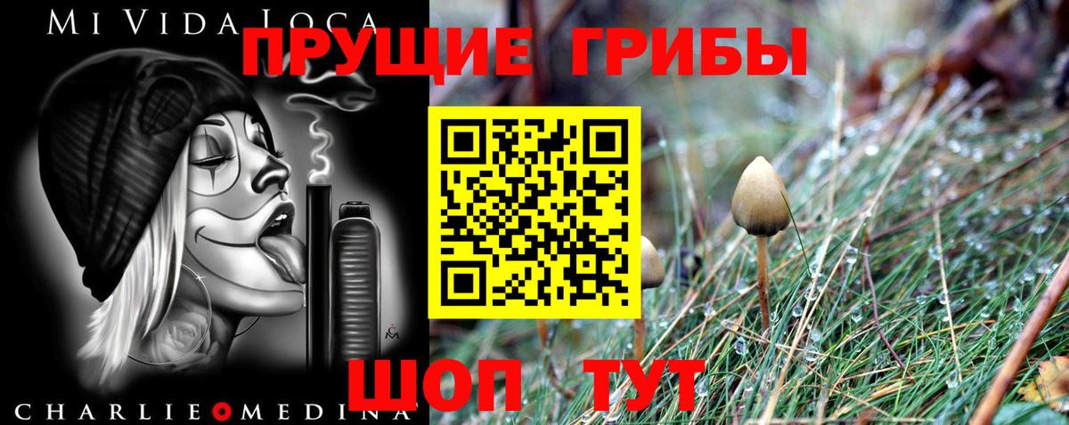 Псилоцибиновые грибы GOLDEN TEACHER Павловский Посад